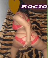 /album/fotogaleria-inicio/cats23-jpg1/